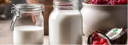 Iogurte de Coco Vegano