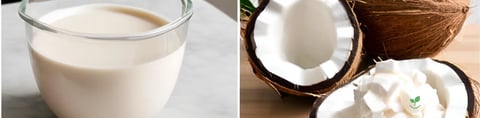 Creme de Coco Caseiro com Polpa de Coco Fresco (Natural e Artesanal)